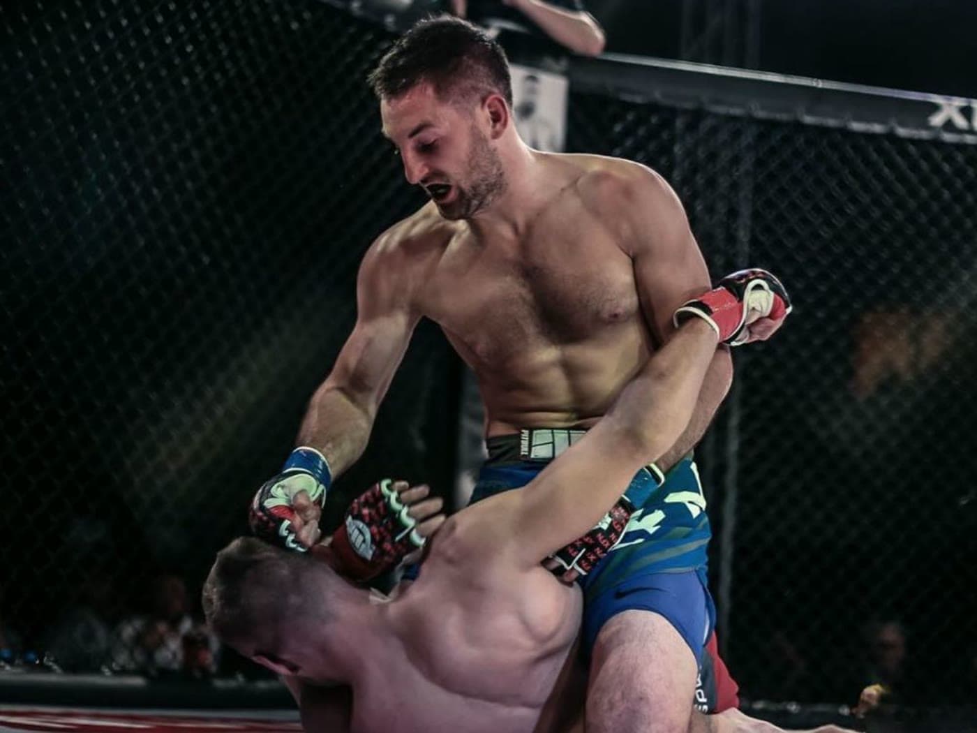 Profi MMA zápas